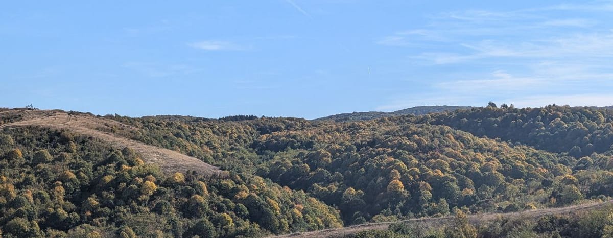 Fruska Gora october vibes