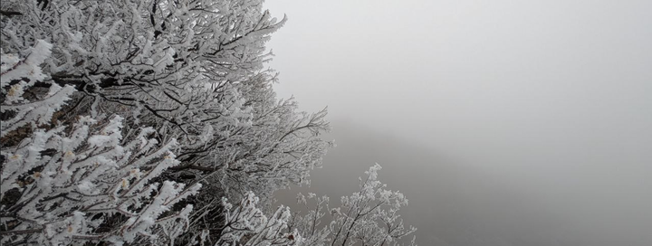 Fruška Gora, January 2025
