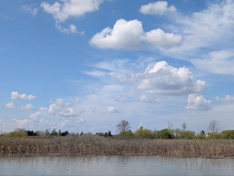 Obedska bara, April 2025